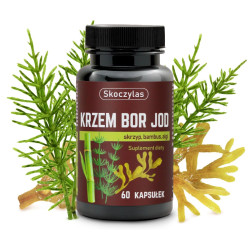Krzem Bor Jod, skrzyp bambus algi - suplement diety
